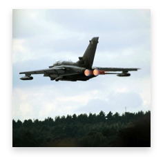 stacks_image_754BE7EC-DBD4-4784-9AFE-5EA8C09C556F
